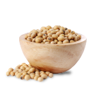 Frijoles y otros granos